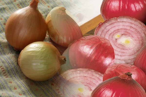 Tor магазин matanga onion top com
