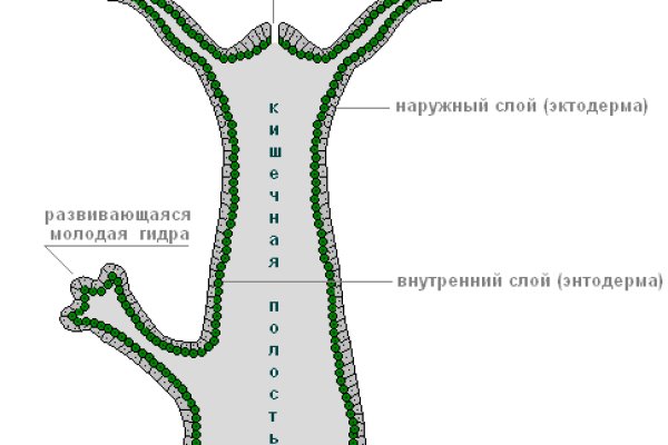 Кракен сайт 17at