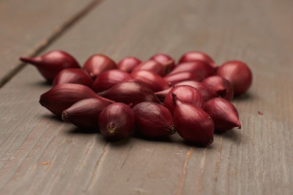 Http megadmeovbj6ahqw3reuqu5gbg4meixha2js2in3ukymwkwjqqib6tqd onion shops