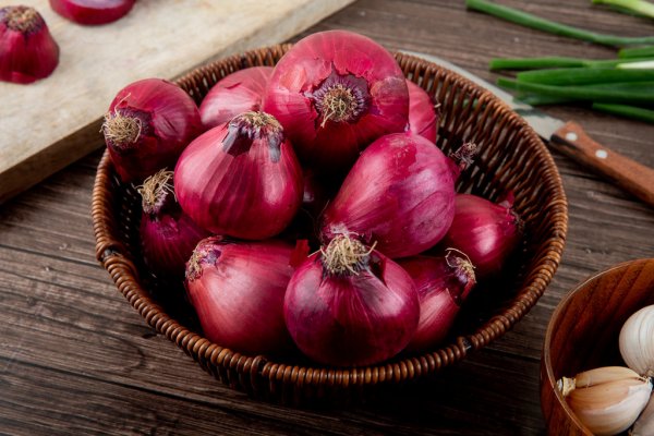 Mega onion вход