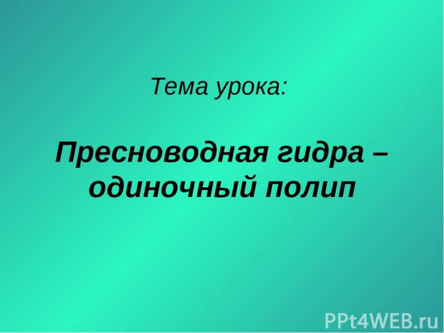 Новое зеркало гидры mega ssylka onion com