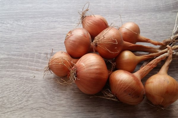 Hydra зеркало hydraruzxpnew4af onion