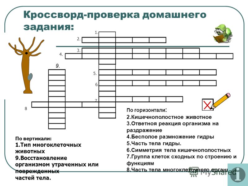 Кракен даркет